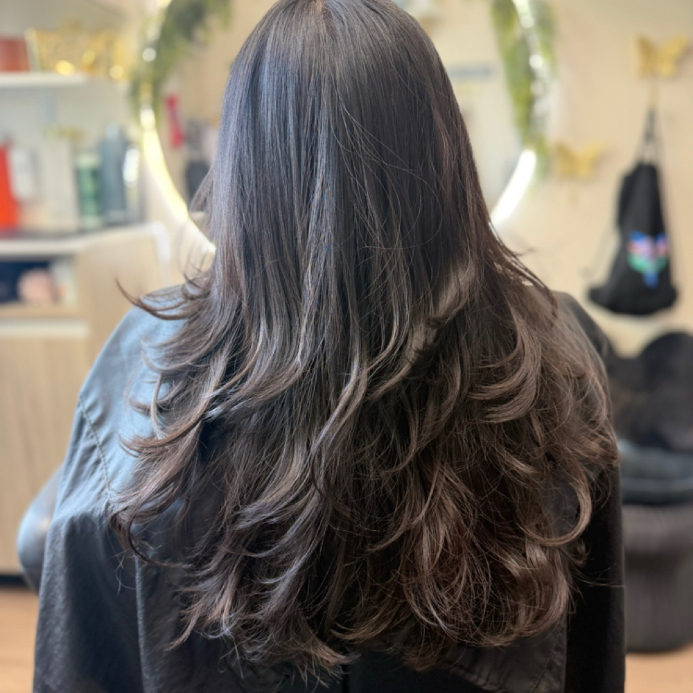 Single Color, Haircut & Blow Dry at JR HairStudio in Cudahy, CA
