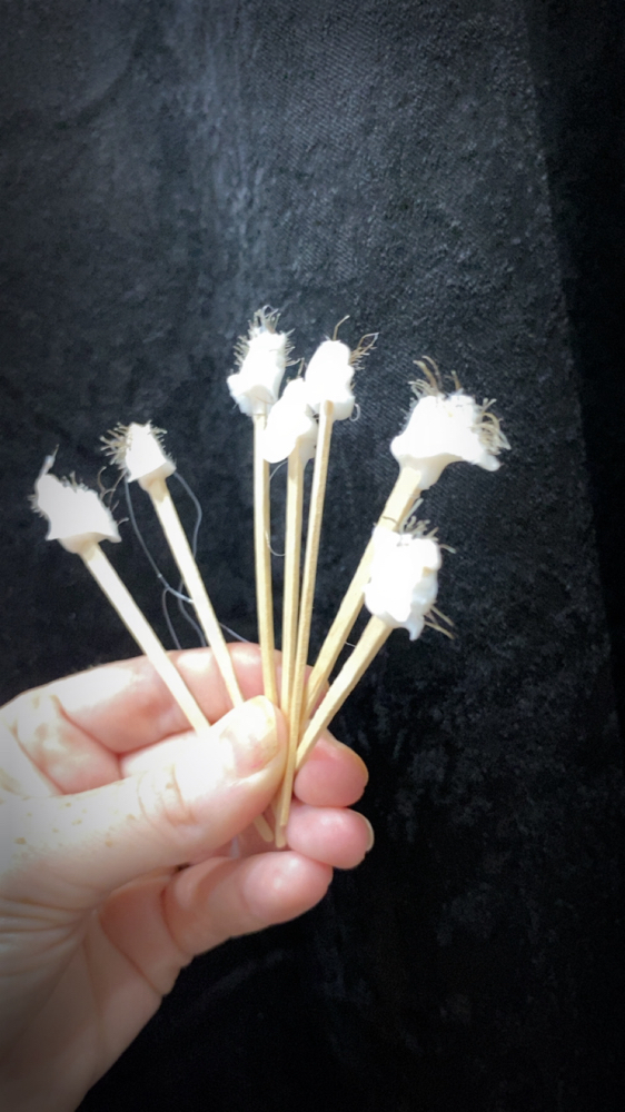 Nostril Wax