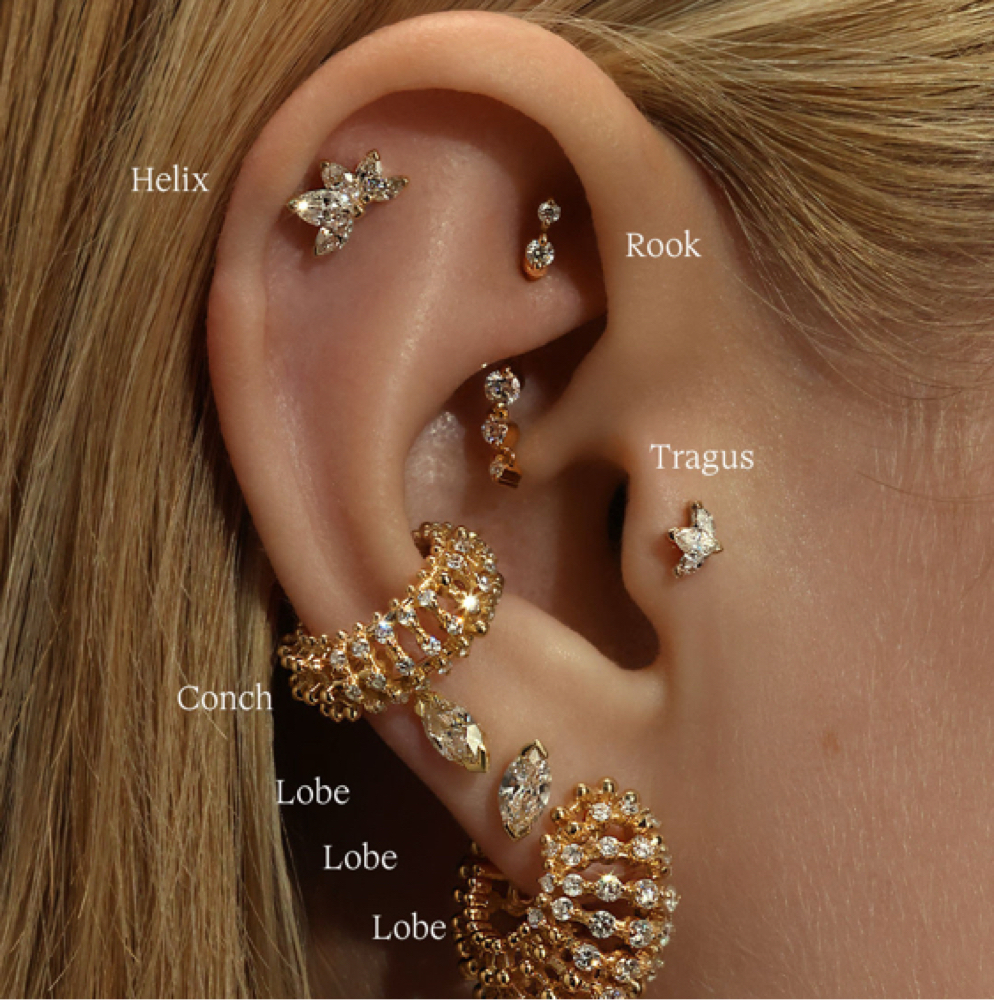 Hollow Needle Ear And Nose Piercing at Allelu Beauty & Ink Idaho in Coeur d'Alene, ID