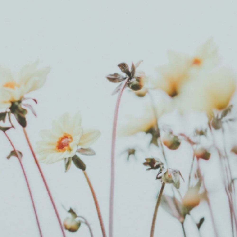 Mane Change at Oxford&Mane in Oxford, NC