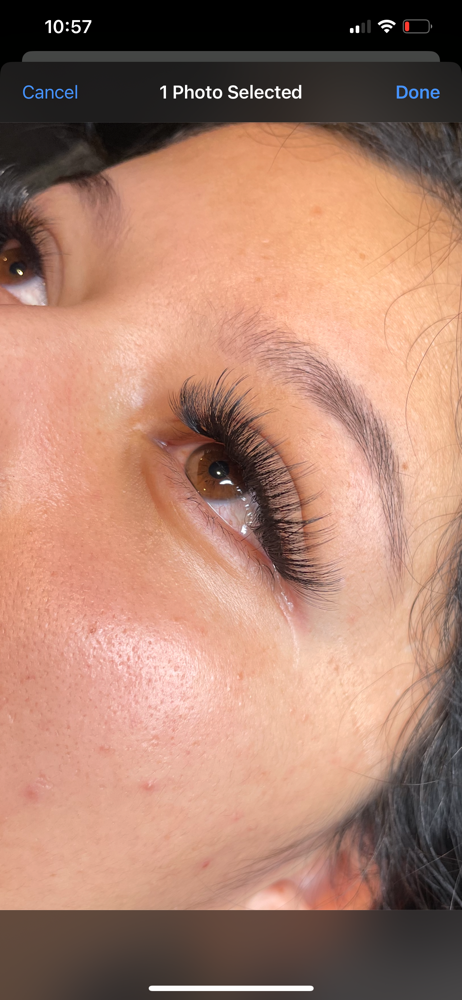 Lash Fill