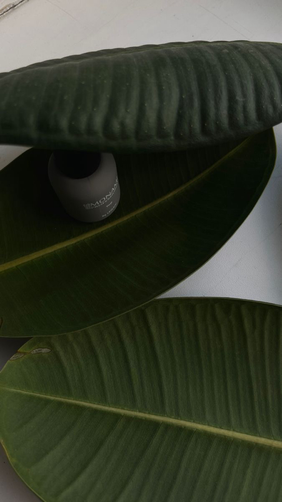 Acrylic Overlay Fill at Collins Cosmetics in owensboro, KY