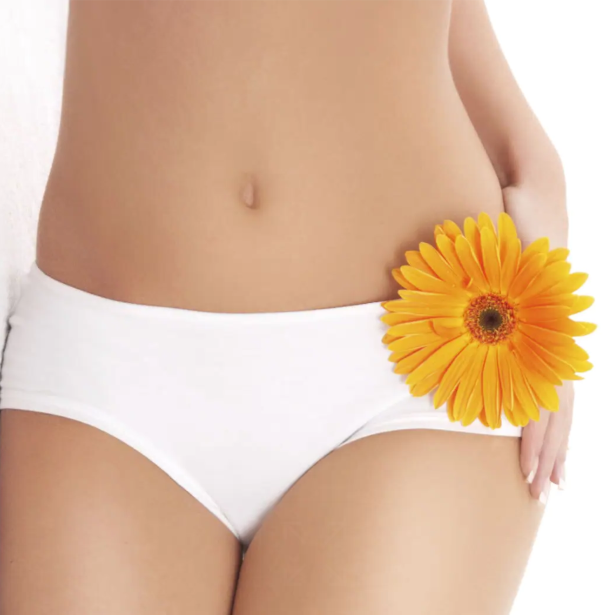 Wax - Full Bikini at Sophiesticated Esthetics in Miami, FL