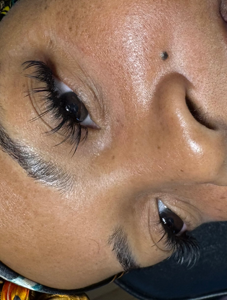 Anime lash Fill at PrimaLash&Brow in McKeesport, PA