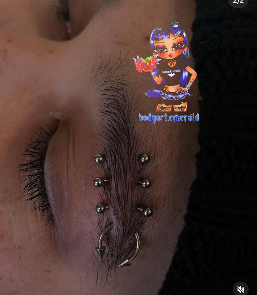 Double Eyebrow at Bodyart By Emerald Esme 🖤🕷️ in El Centro, CA