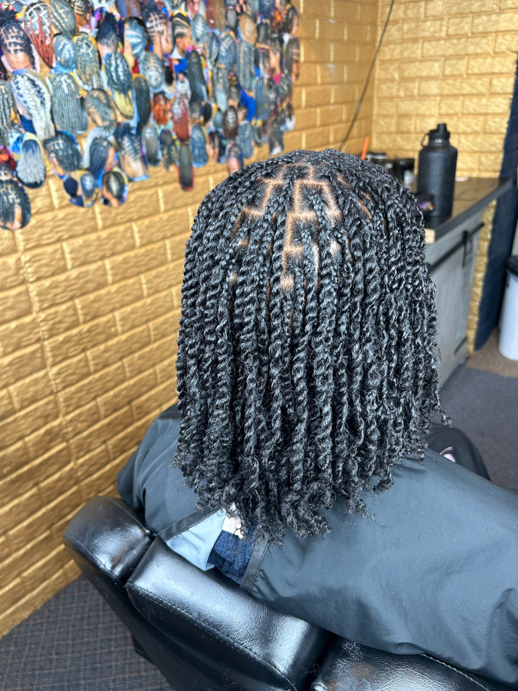 2 strand method Starter locs
