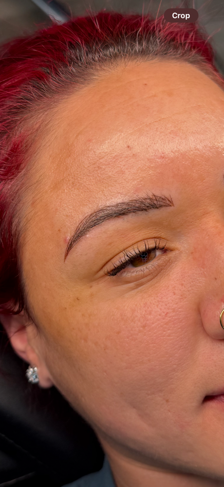 Combination Brows at Tatmandoo’s Tattoo Collective in Winter Haven, FL