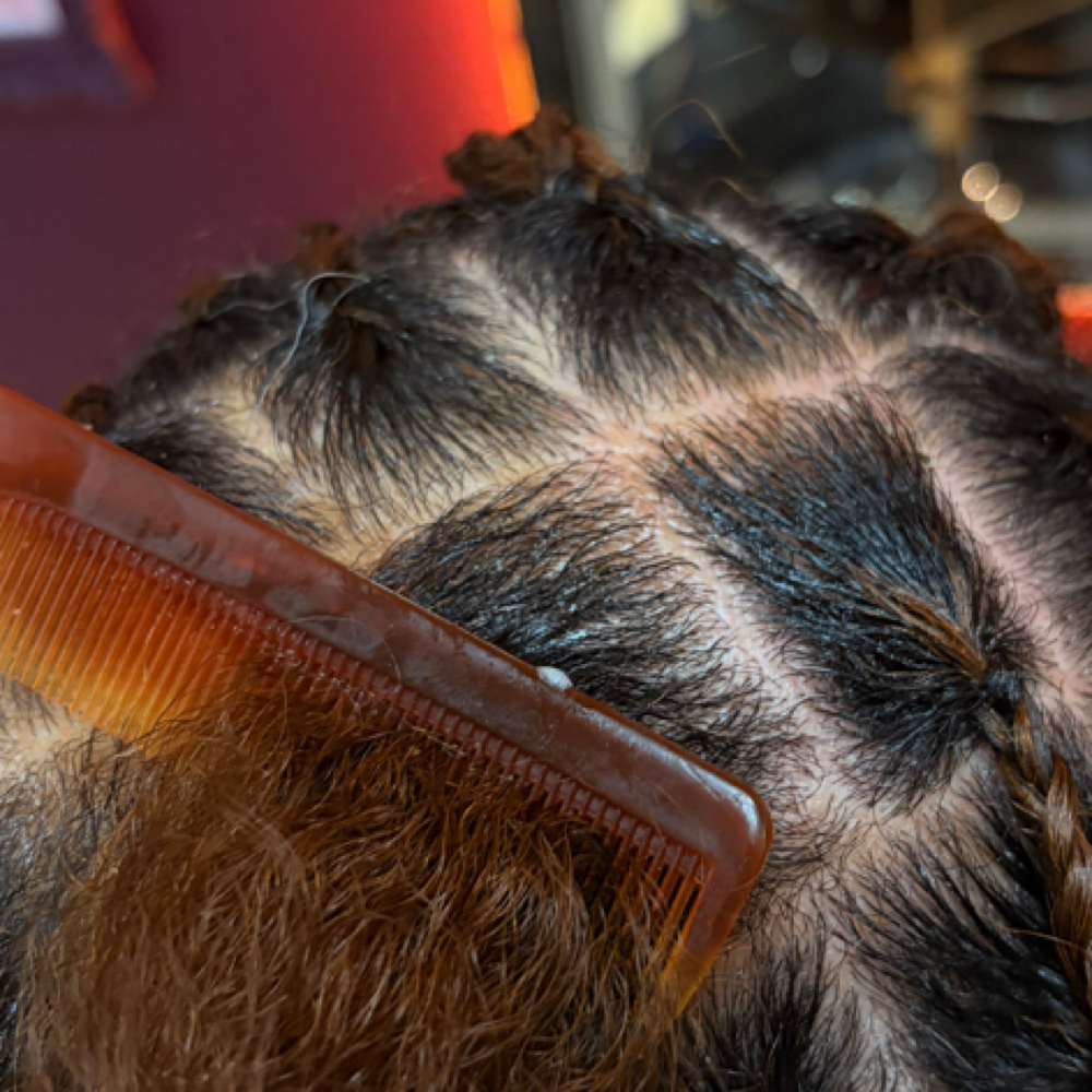 Basic Two Strand Twist at Hair By Hailey in Jasper, TN