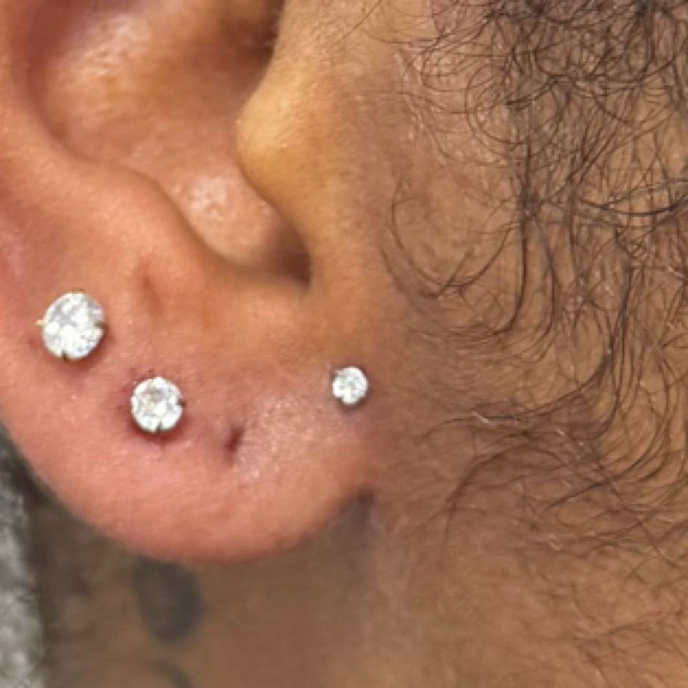 PreLobe (Per Ear) at PiercingSiren in Waukegan, IL