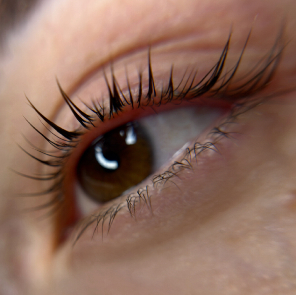 Standar Lash Lift Rimel Effect at Laurenn Lafaurie Studio in Paterson, NJ