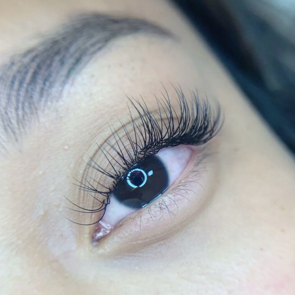 Non Member Classic Refill at Wink Lash Studio in memphis, TN