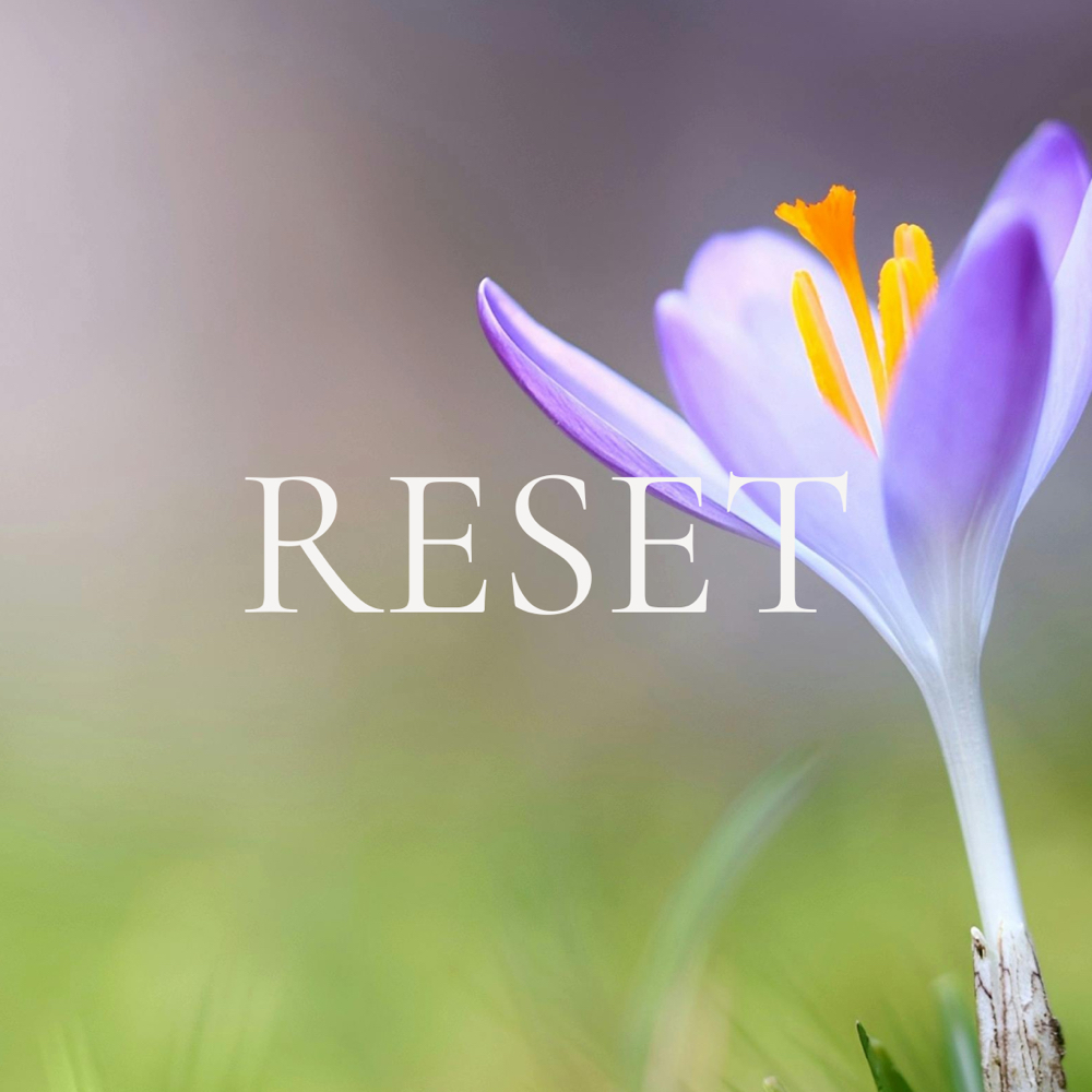 Alchemy | RESET at Alchemy | Skin in Issaquah, WA