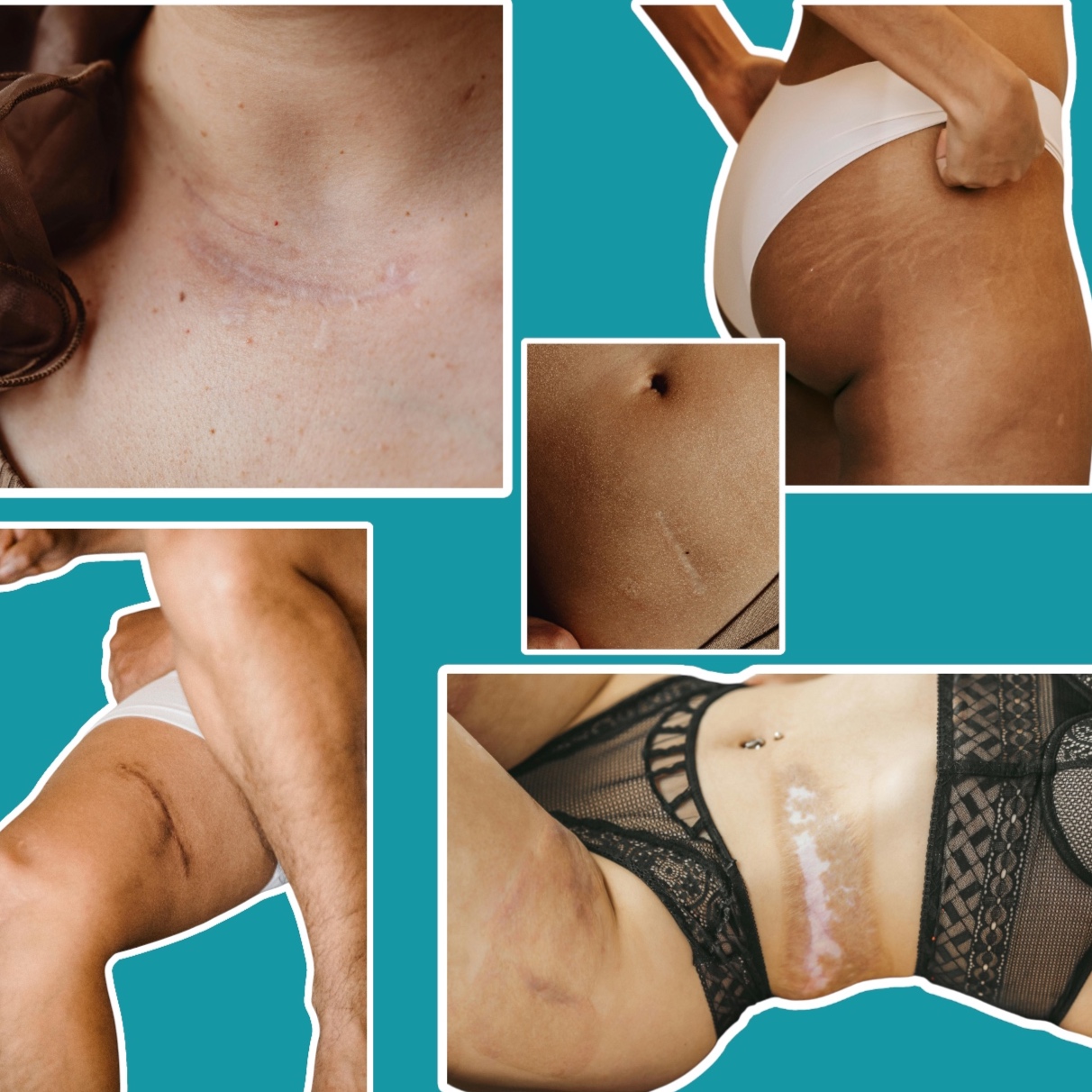 Model Call Booking at Lines & Waves in Port Charlotte, FL