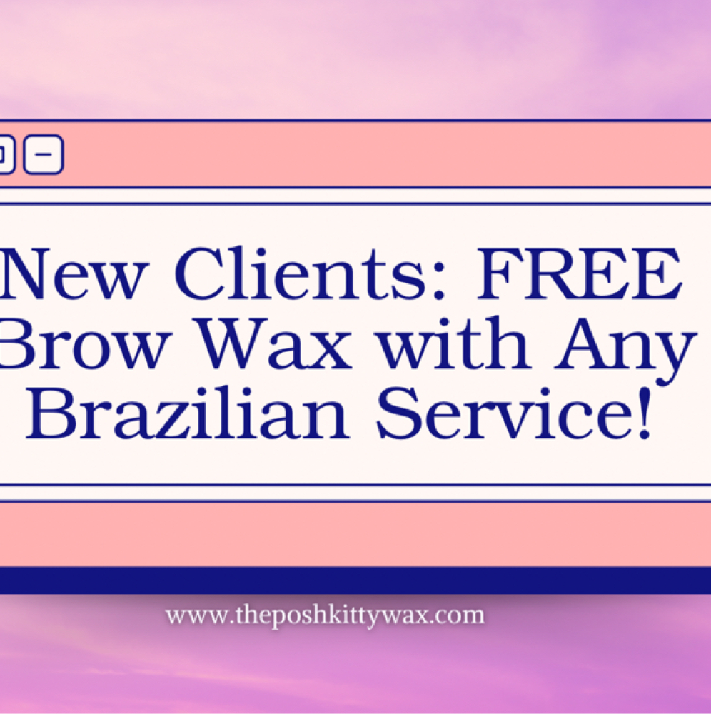 New Clients: Brazilian +  Brow Wax at The Posh Kitty in Florence, KY