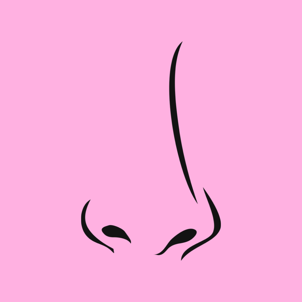 Nose