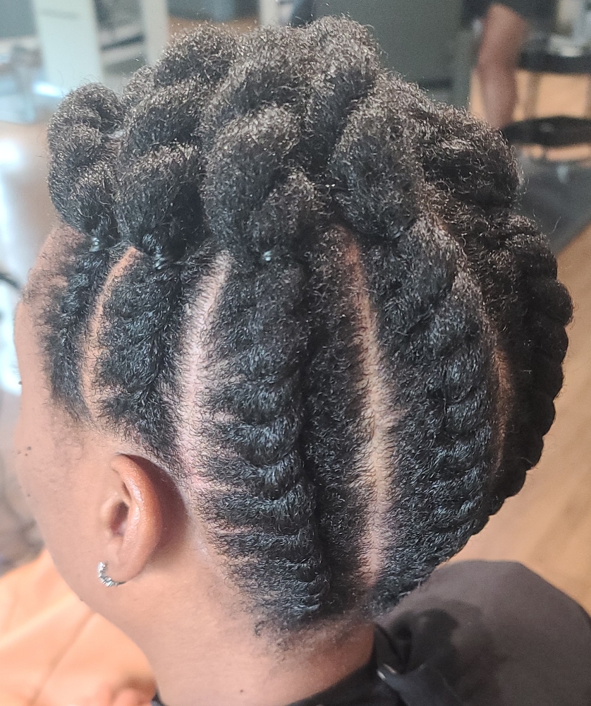Braided Or Twisted Upstyle