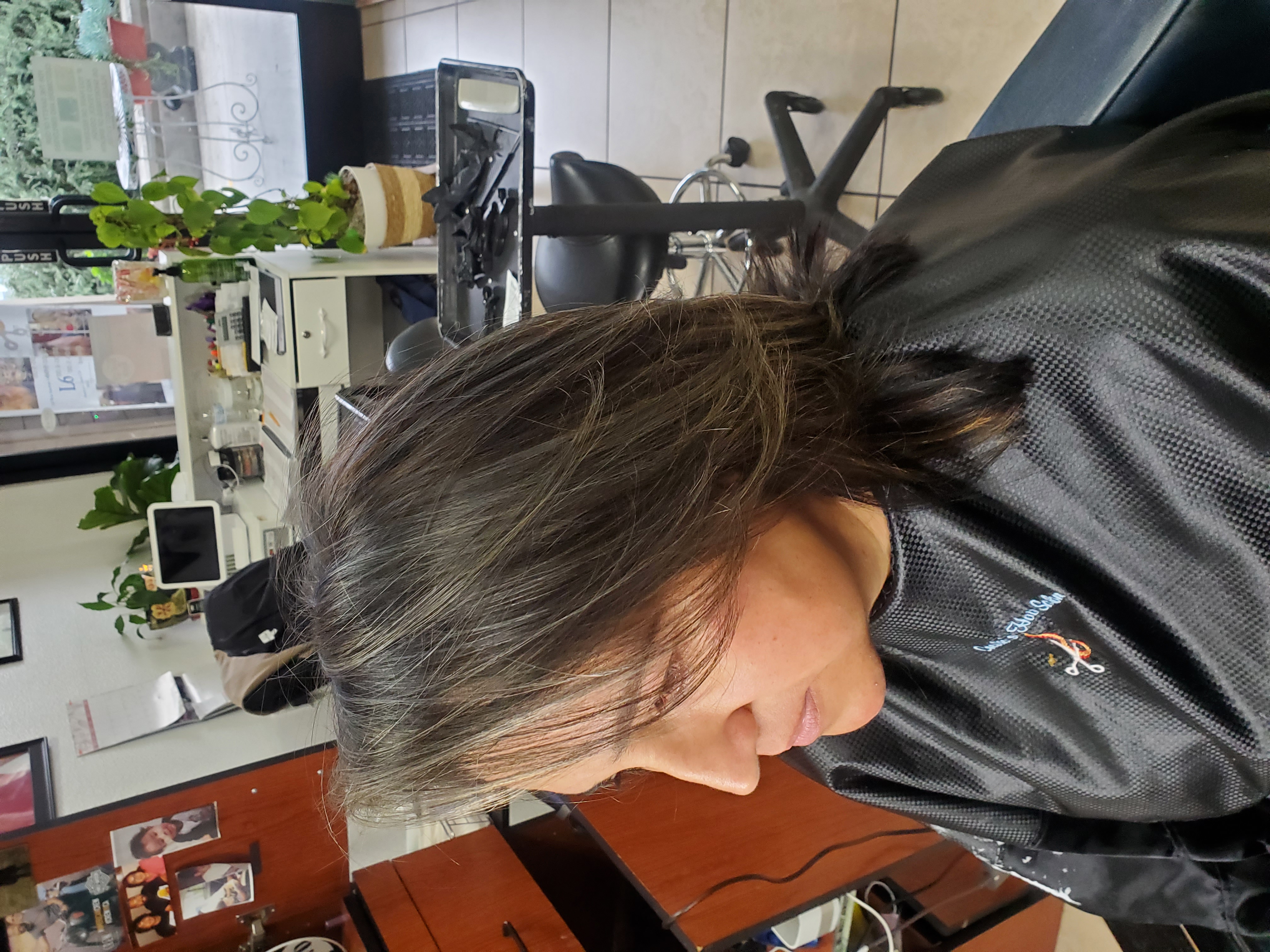Hair Partial  Highlights