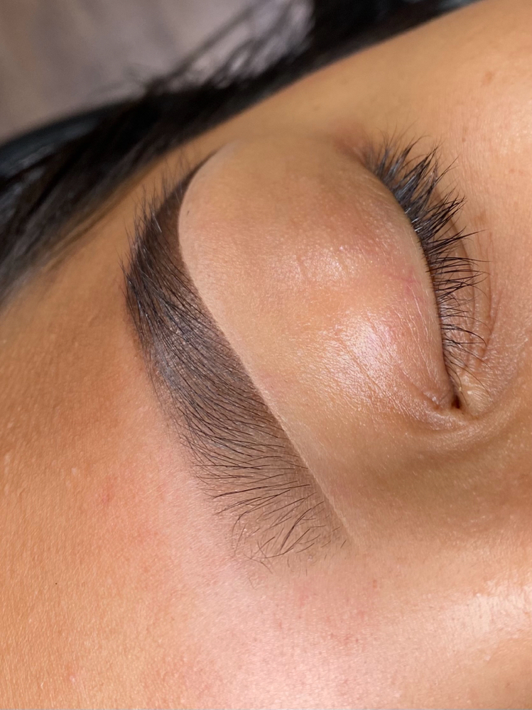 Brow Wax & Regular Tint