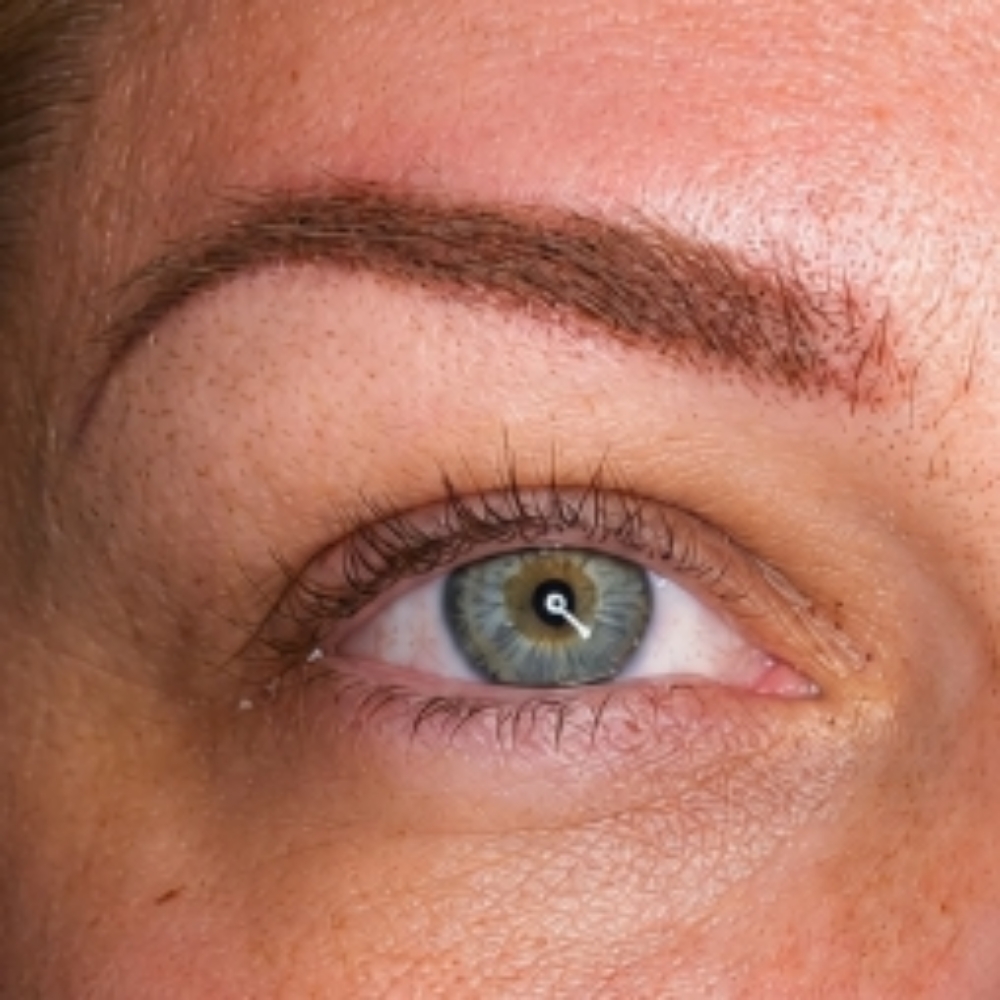 Powder Brows at TrinityRose Ink Boutique Llc in MIlledgeville, GA