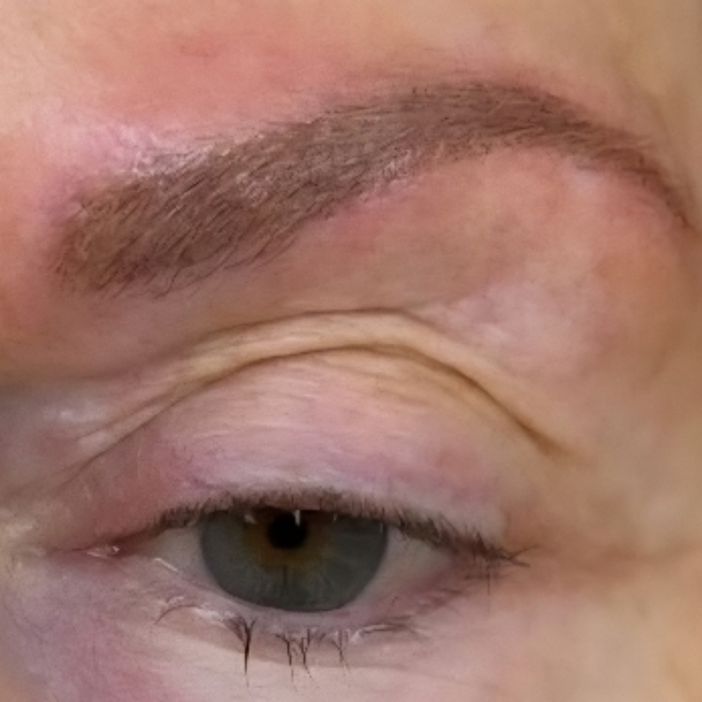 Powder Brows at TrinityRose Ink Boutique Llc in MIlledgeville, GA