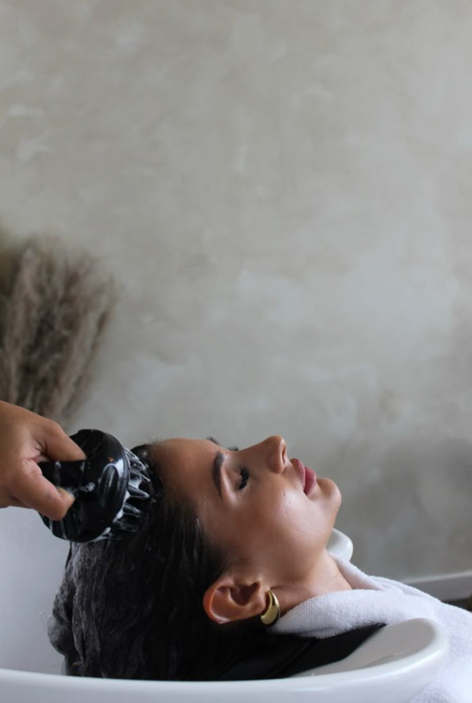 Shampoo & Dry - Basic