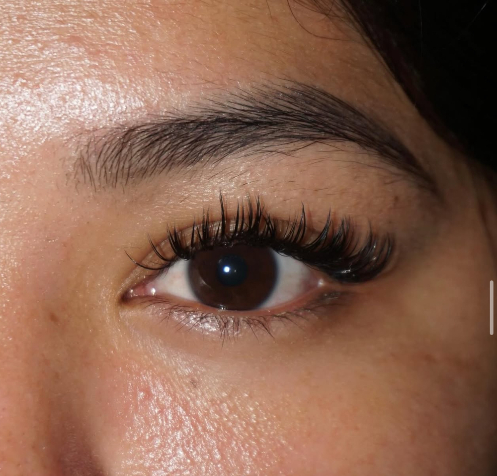 Wet Lashes Fullset