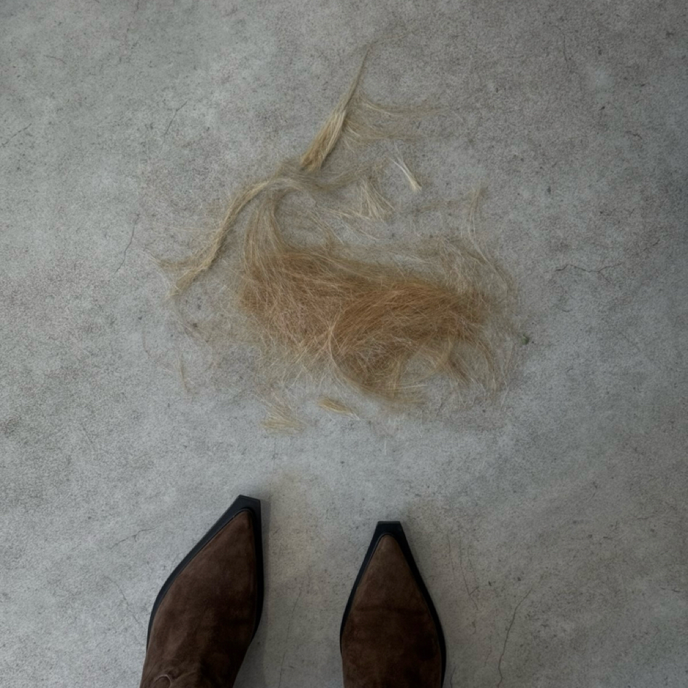 Haircut at The Grove Salon Co. in Rocklin, CA