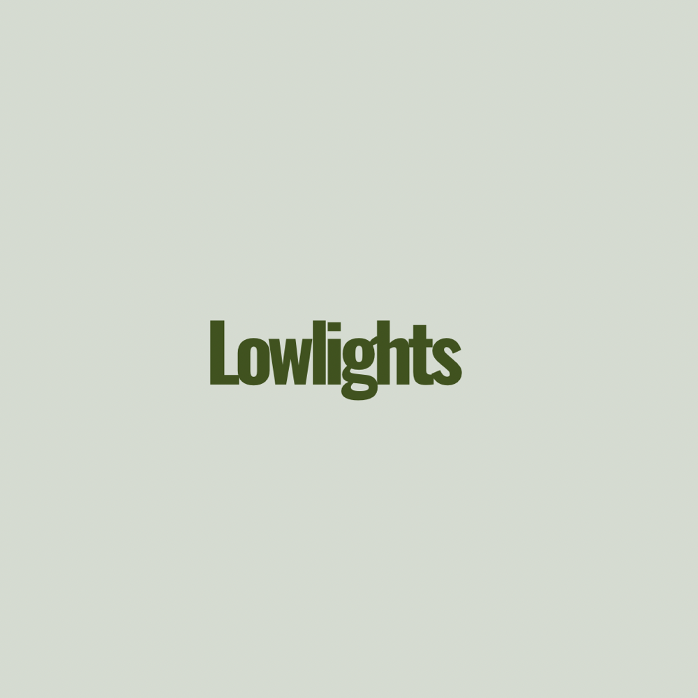 Lowlights at Center Street Studio in Sebewaing, MI