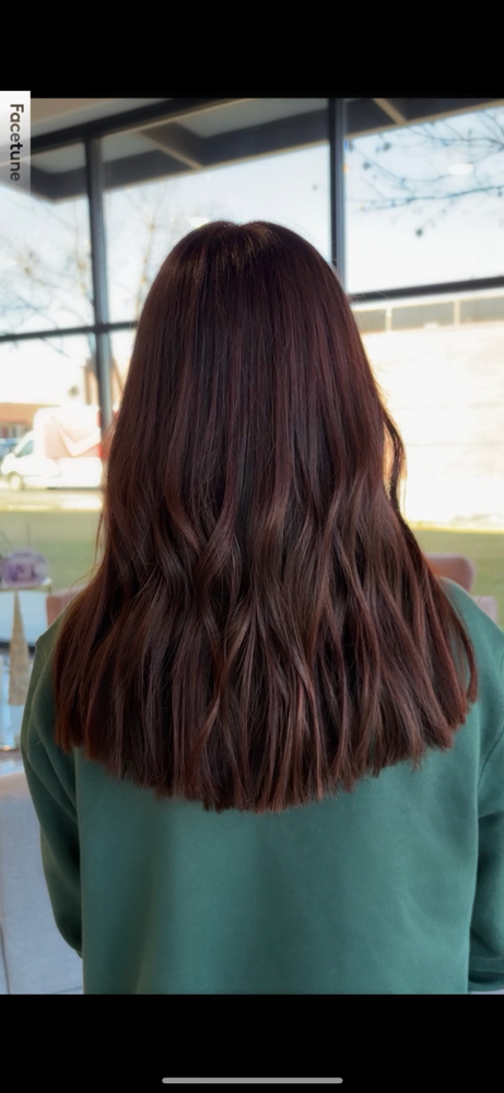 All Over Color at Hannah Alisse | Hairstylist in Mansfield, TX