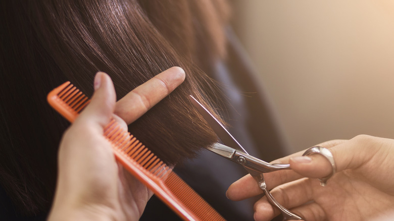 Womans Cut