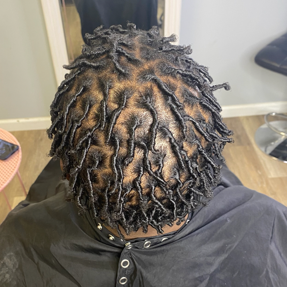 Starter Locs