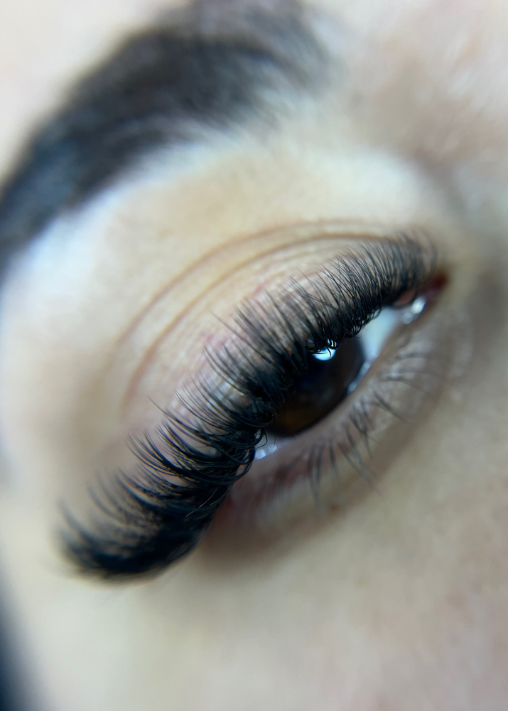 Volume Lashes