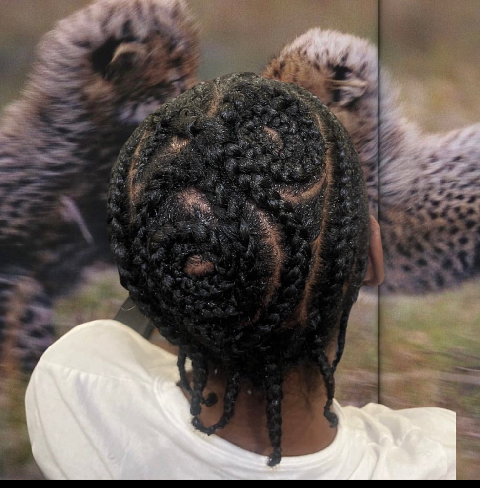 Freestyle Braids