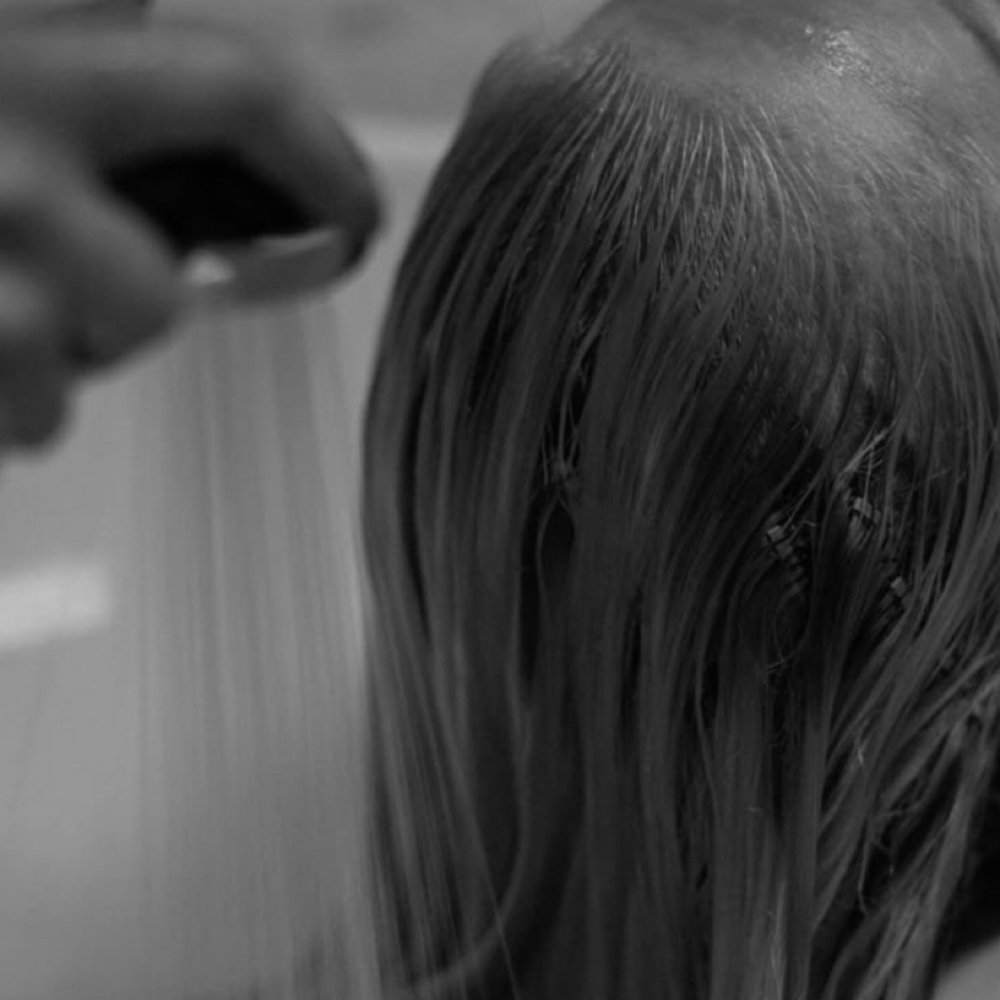 Shampoo + Blowout - Extensions