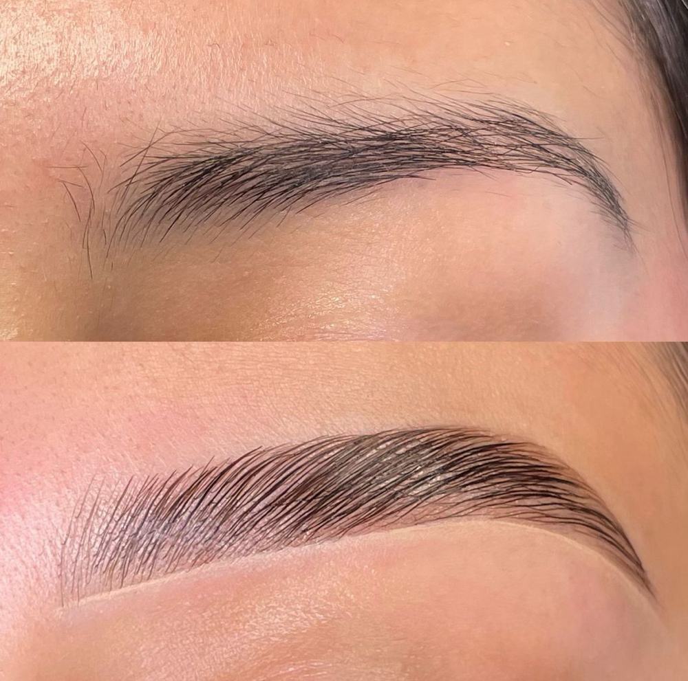 Brow Lamination + Wax + Tint at Glam Vault in Lancaster, PA