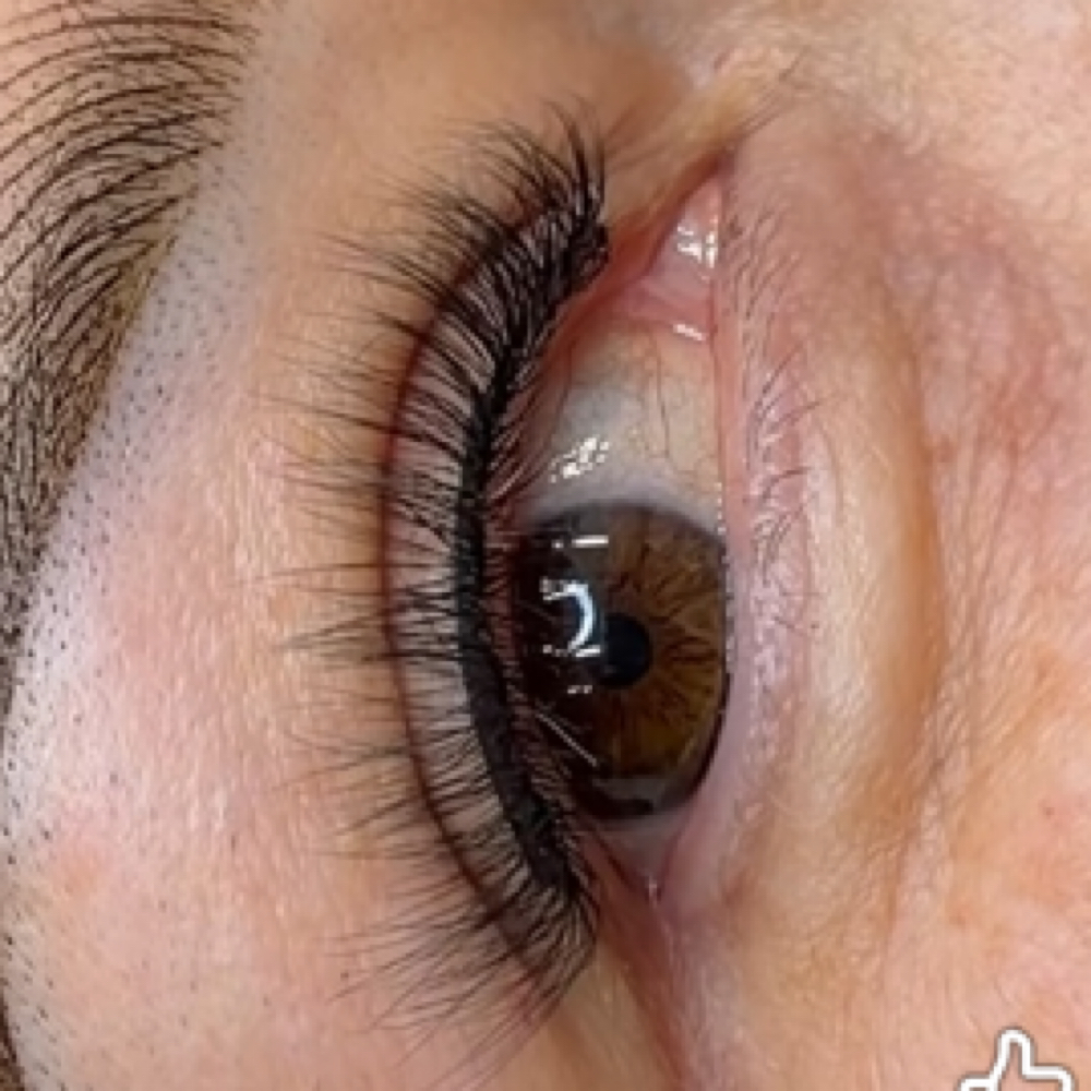 Eyelash Refill (3-4 Weeks) at ProNails Lashes & Brows Studio in Woodburn, OR