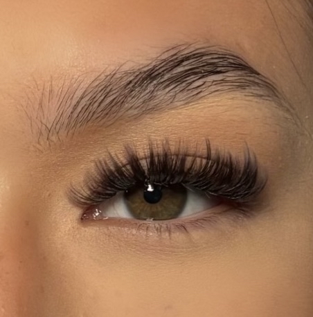 Brown lash Fill