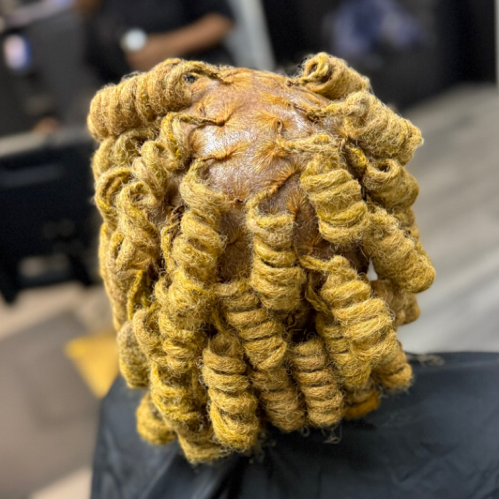 Retwist W/ Roller Set at NaturaLee Styling LLC in Charlotte, NC