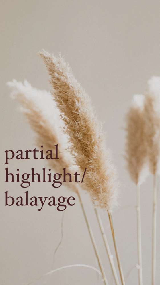 Partial Highlight/ Balayage