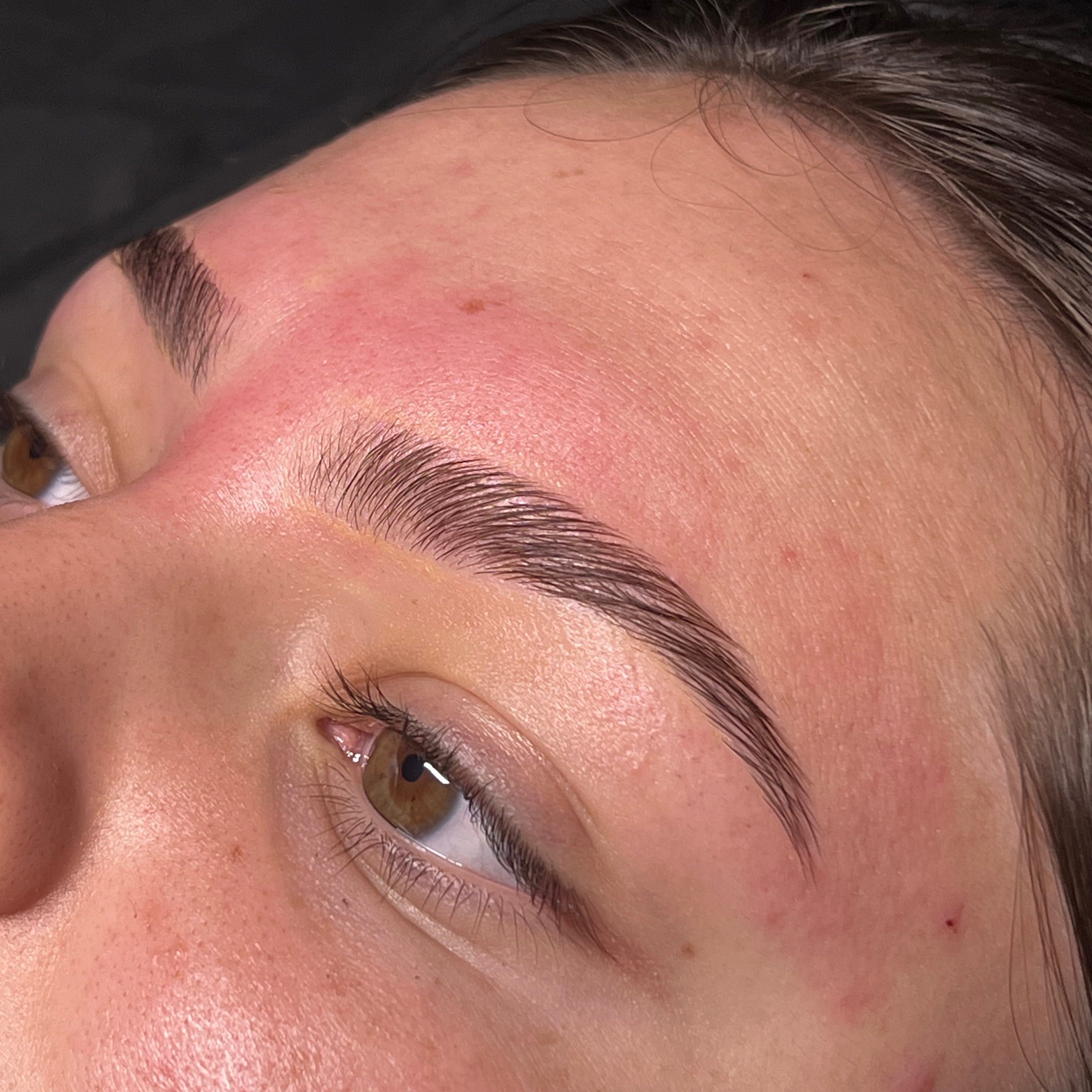 Brow wax + mapping + stain at Martini Esthetics in Concord, CA