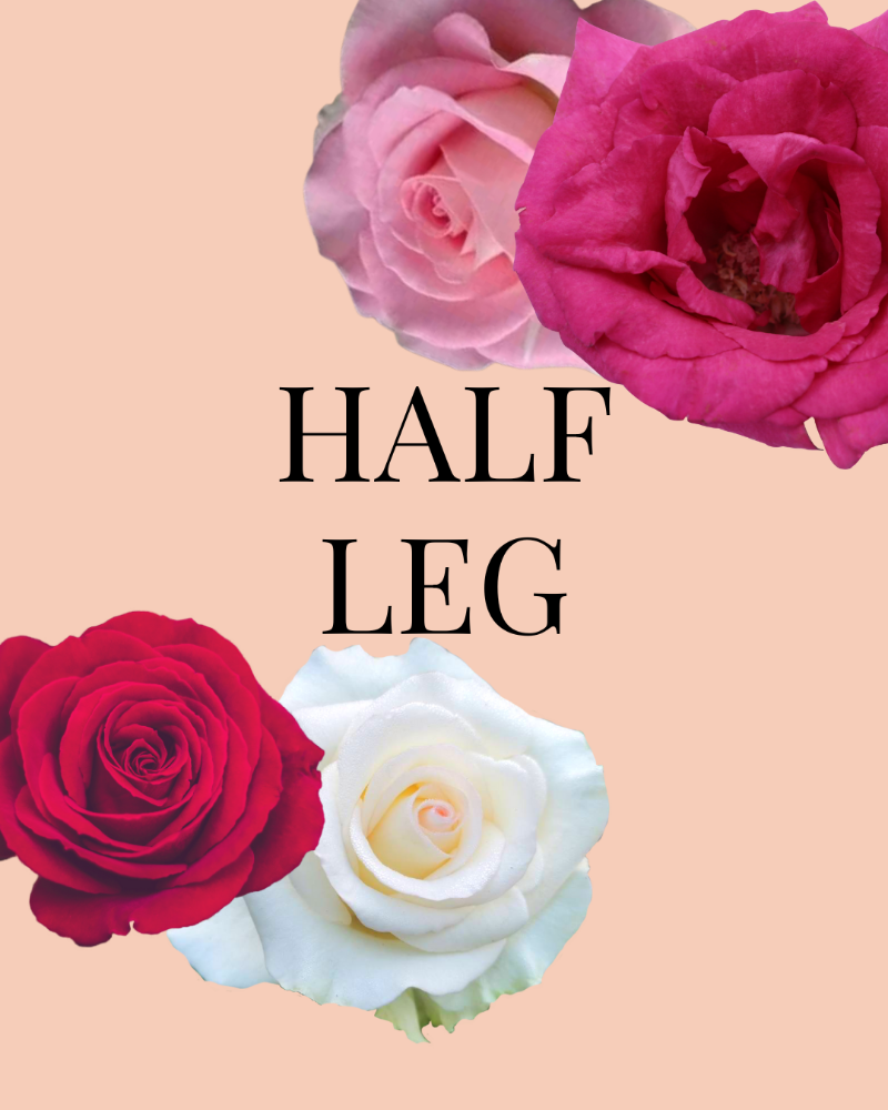 HALF LEGS