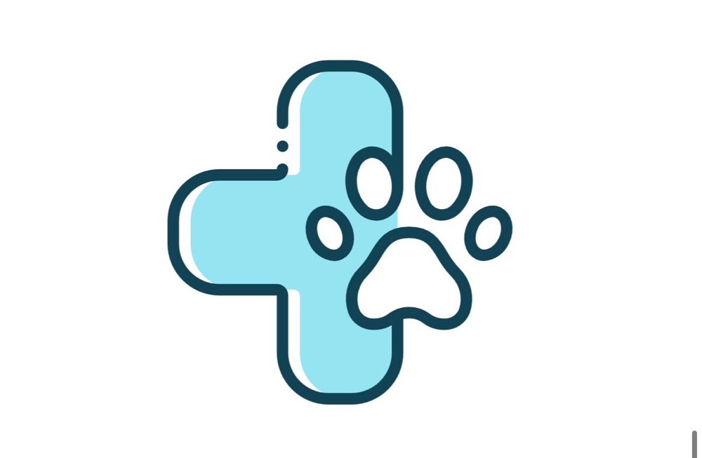 Initial Consultation & Treatment