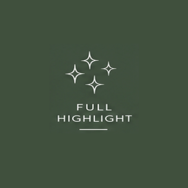 Full Highlight at Cut and Color by Em in Mount Pleasant, SC