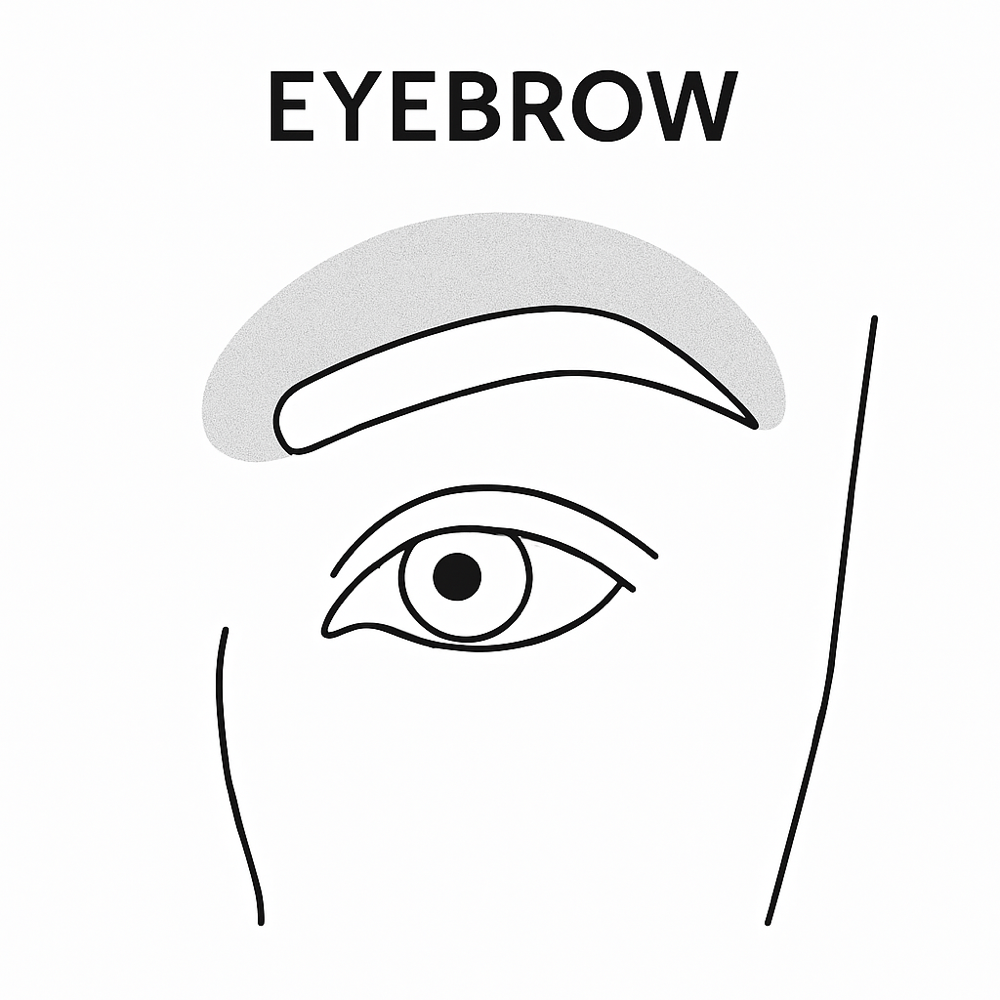 Eyebrow Wax + Shaping