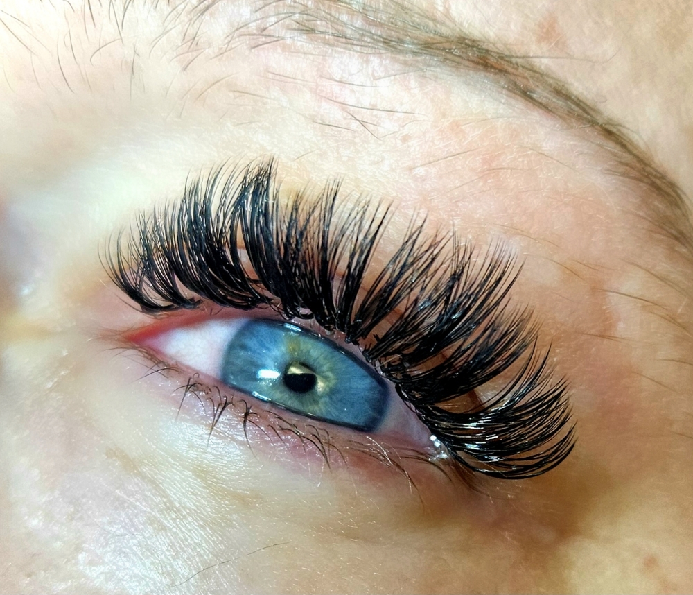 Volume Lashes