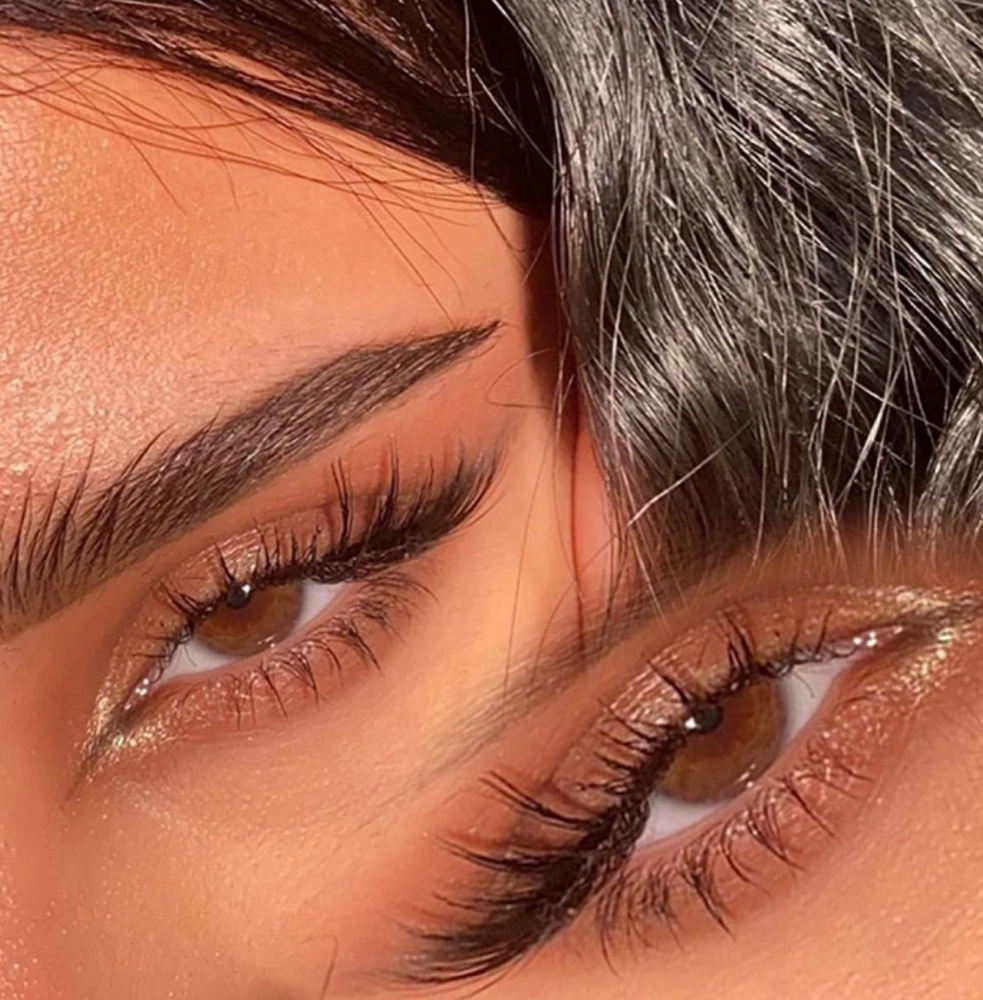 Bottom Lash Set
