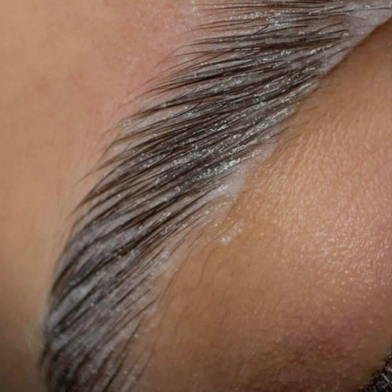 Signature Brow at SKN by madison in Central Point, OR