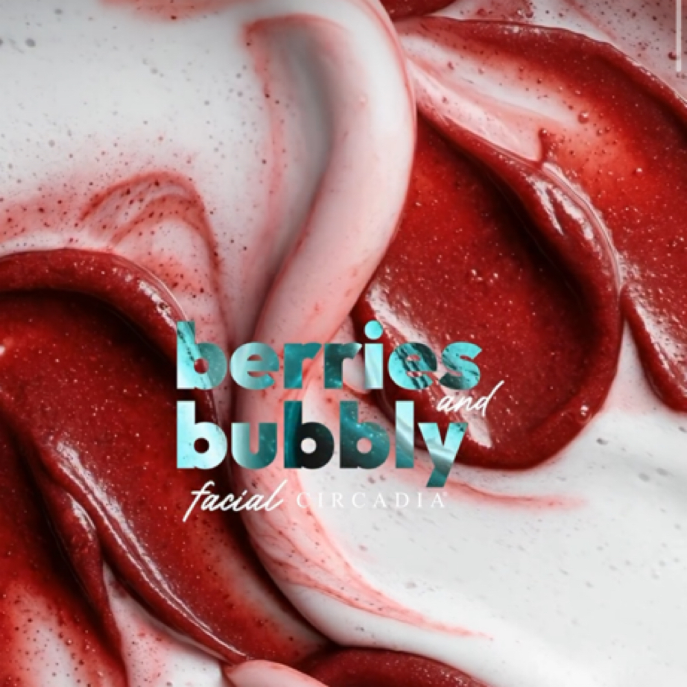 Berries And Bubbly Facial at Honey Beauty Bar in Hamburg, NY