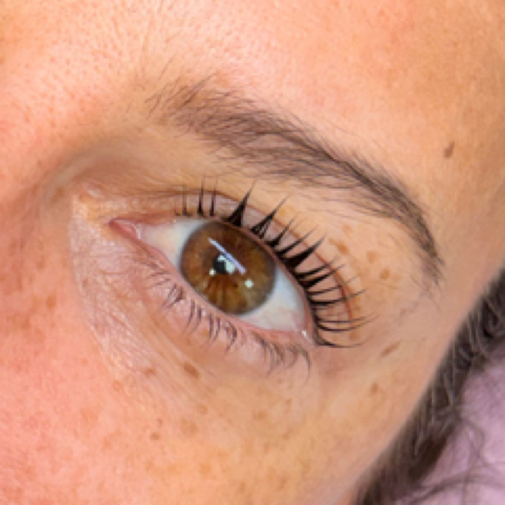 Korean Lash Lift +Tint at Love Lash in Reno, NV
