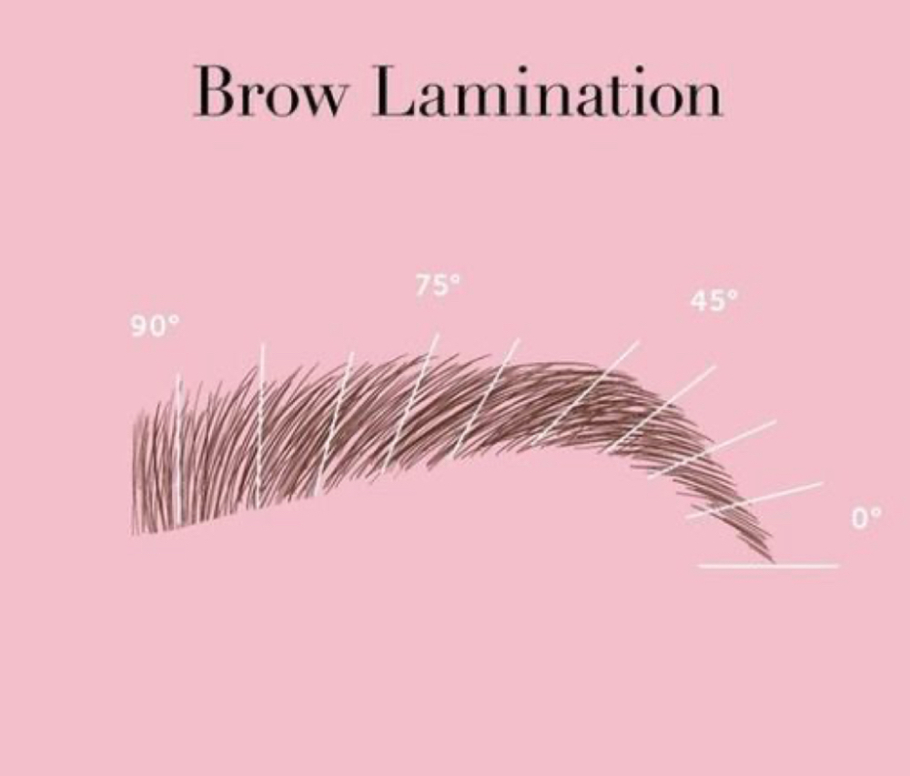 Brow Lamination